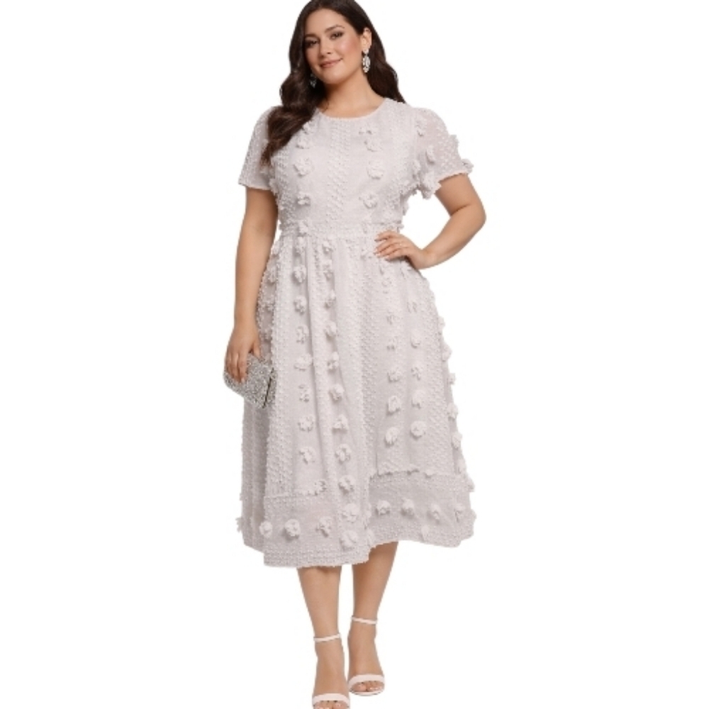 Anthropologie Sunday in Brooklyn Bonita sheer swiss dot Textured Midi Dress 8 Pt